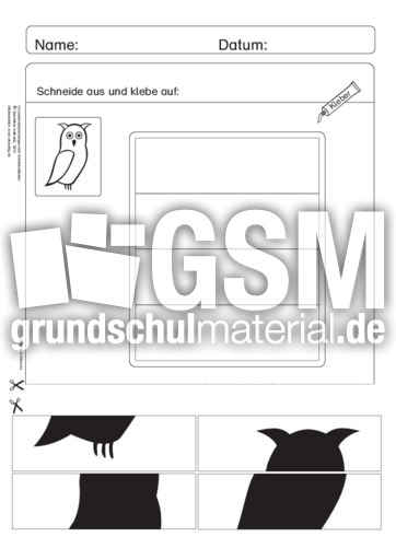 Konzentrationsübung mit Schattenbilder 16.pdf